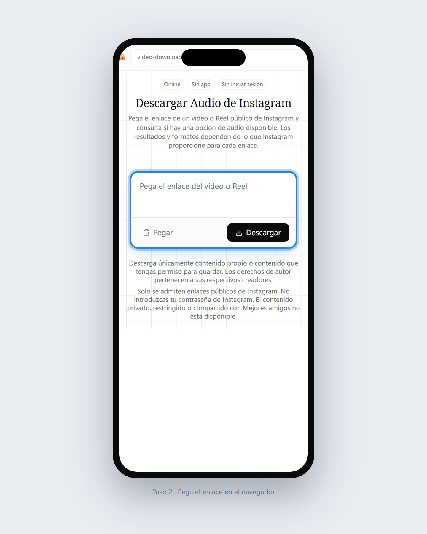 Cómo descargar audio de Instagram — paso 2