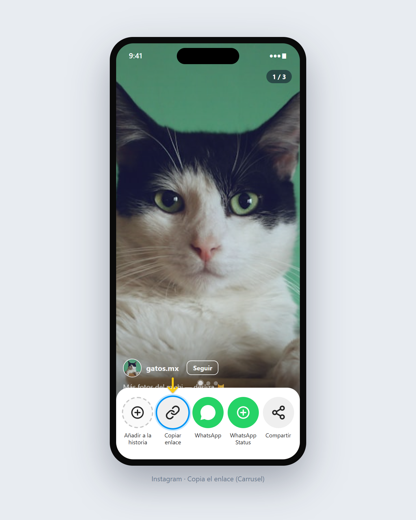 Cómo descargar un carrusel de Instagram — paso 1