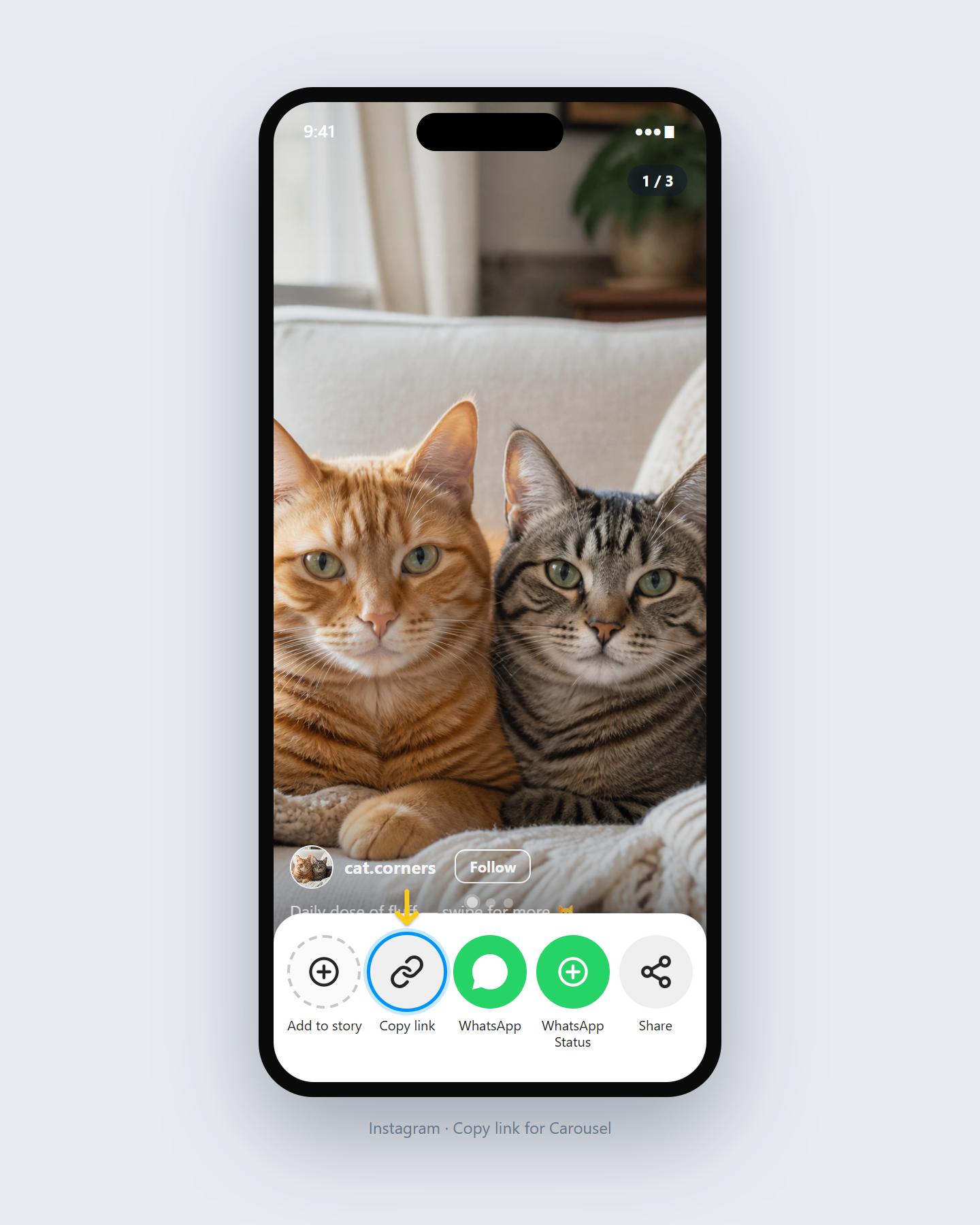 How to Download Instagram Carousels — step 1