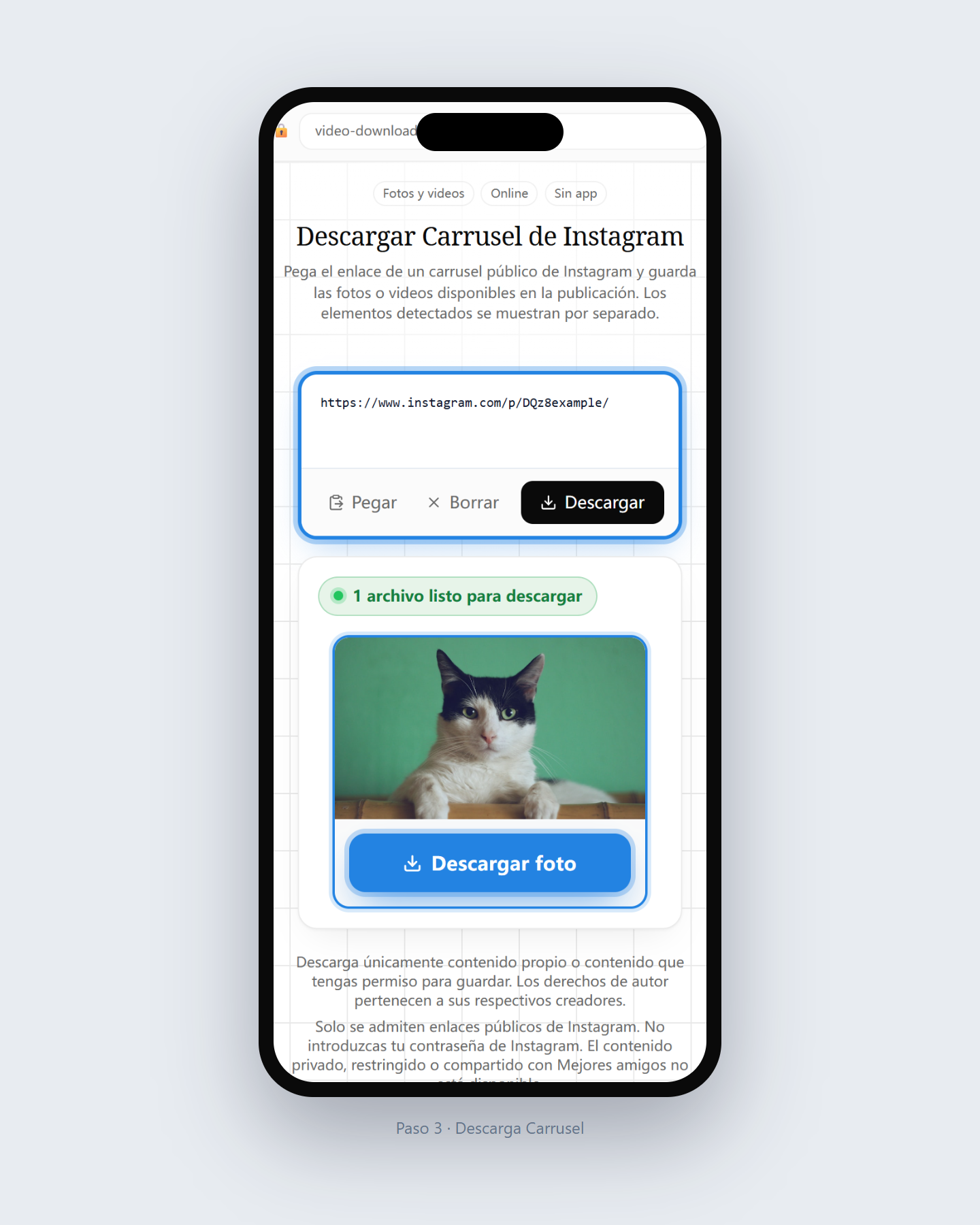 Cómo descargar un carrusel de Instagram — paso 3