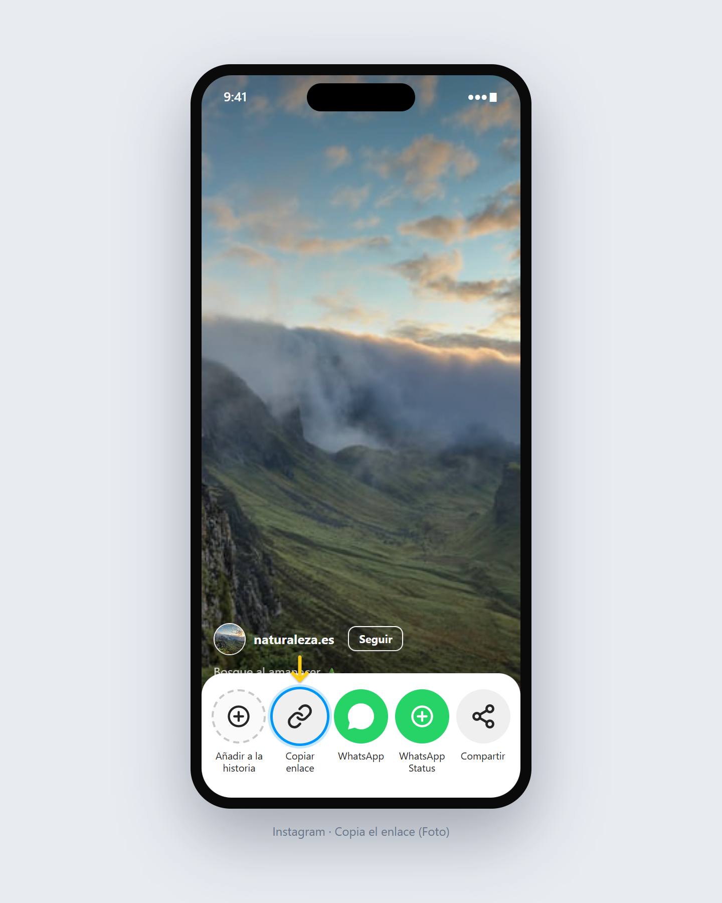 Cómo descargar fotos de Instagram — paso 1