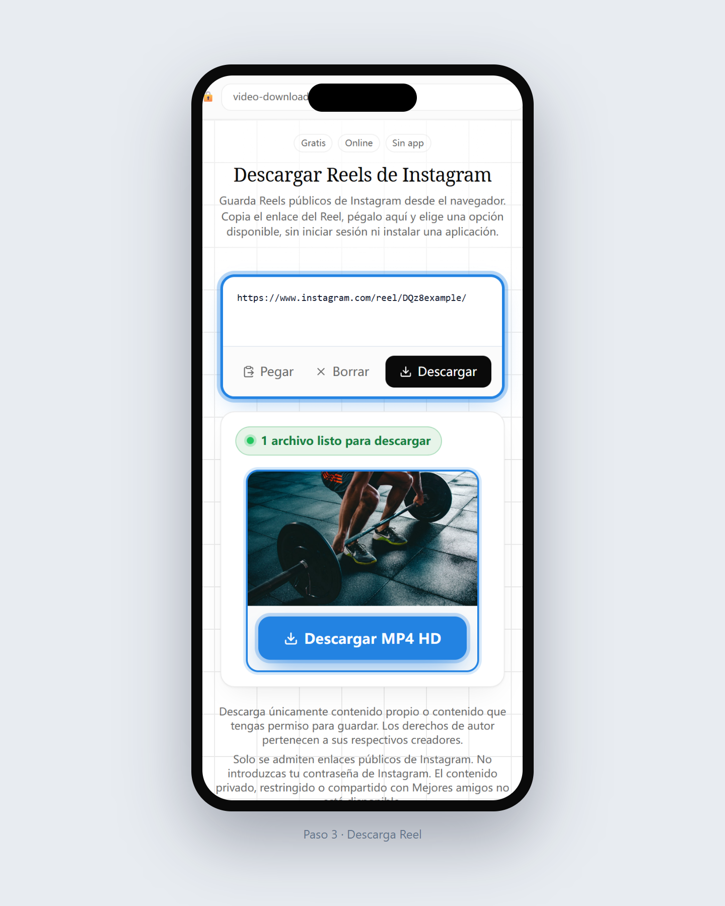 Cómo descargar Reels de Instagram — paso 3